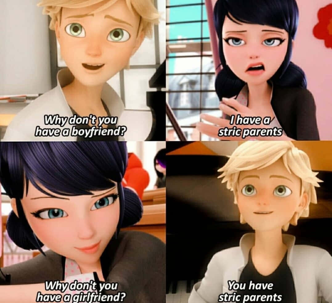 跟上漫威節奏：Funny Miraculous 壁紙 — 四格動畫迷因，包含《瓢蟲少女》角色，並有關於人際關係和嚴格父母的文字覆蓋。
