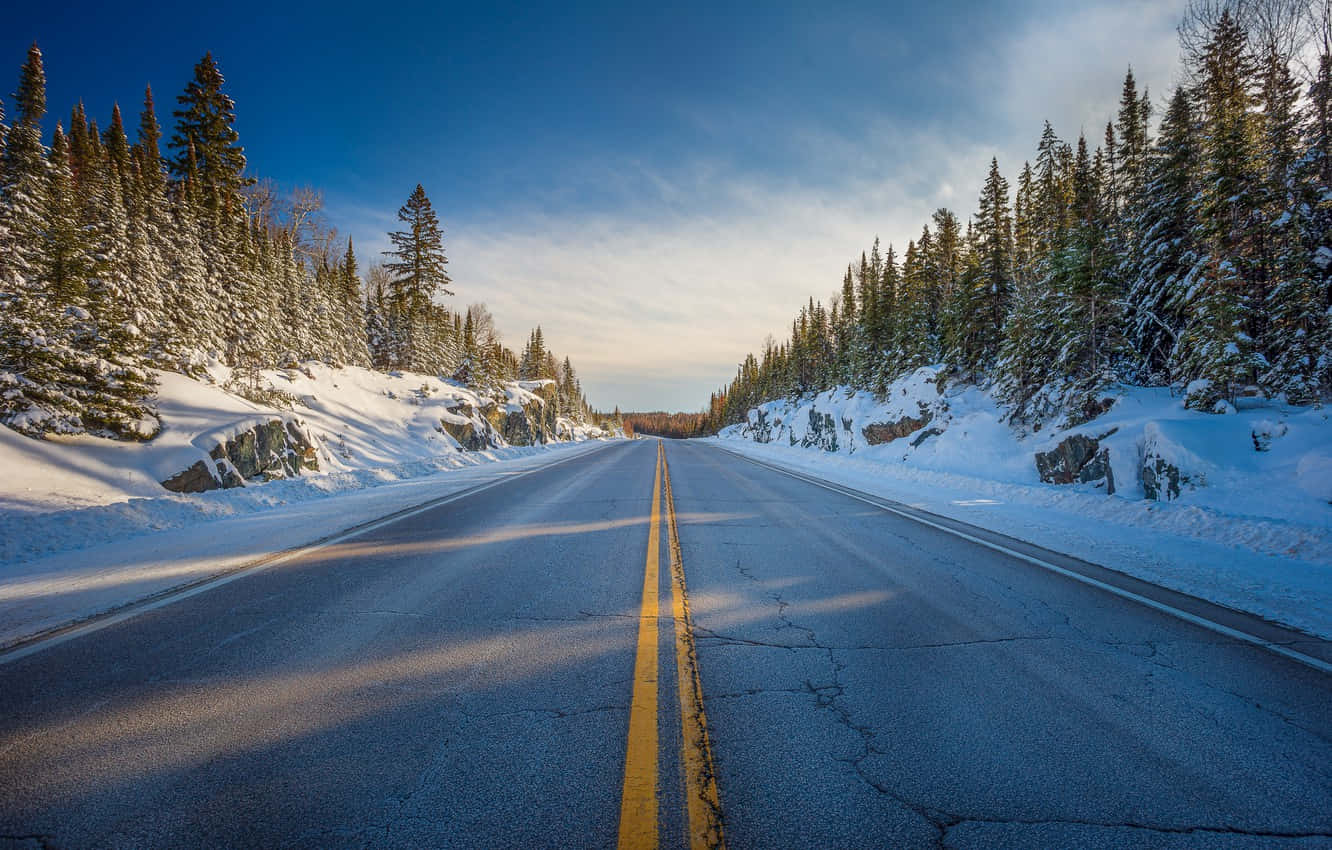 路上的自由 壁紙 — 一條積雪的道路延伸至遠方，兩旁是常綠樹，在黃金時段清澈的藍天下。