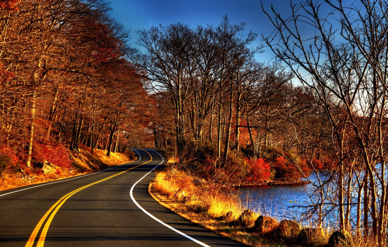 路旁河景 壁紙 — 一條蜿蜒的道路沿著河流穿過秋日樹林，樹葉呈現火熱的橙色和紅色，在清澈的藍天下。