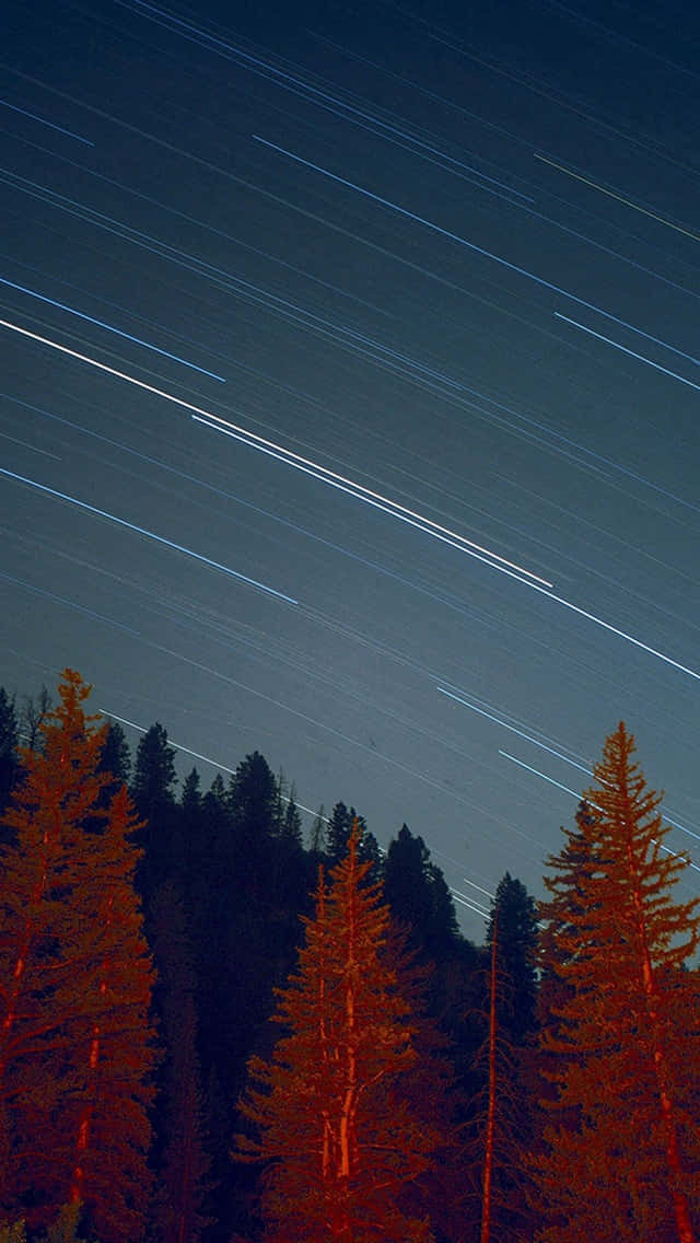 星軌在黑暗天空下，拱形掠過散發橙色光芒的森林。