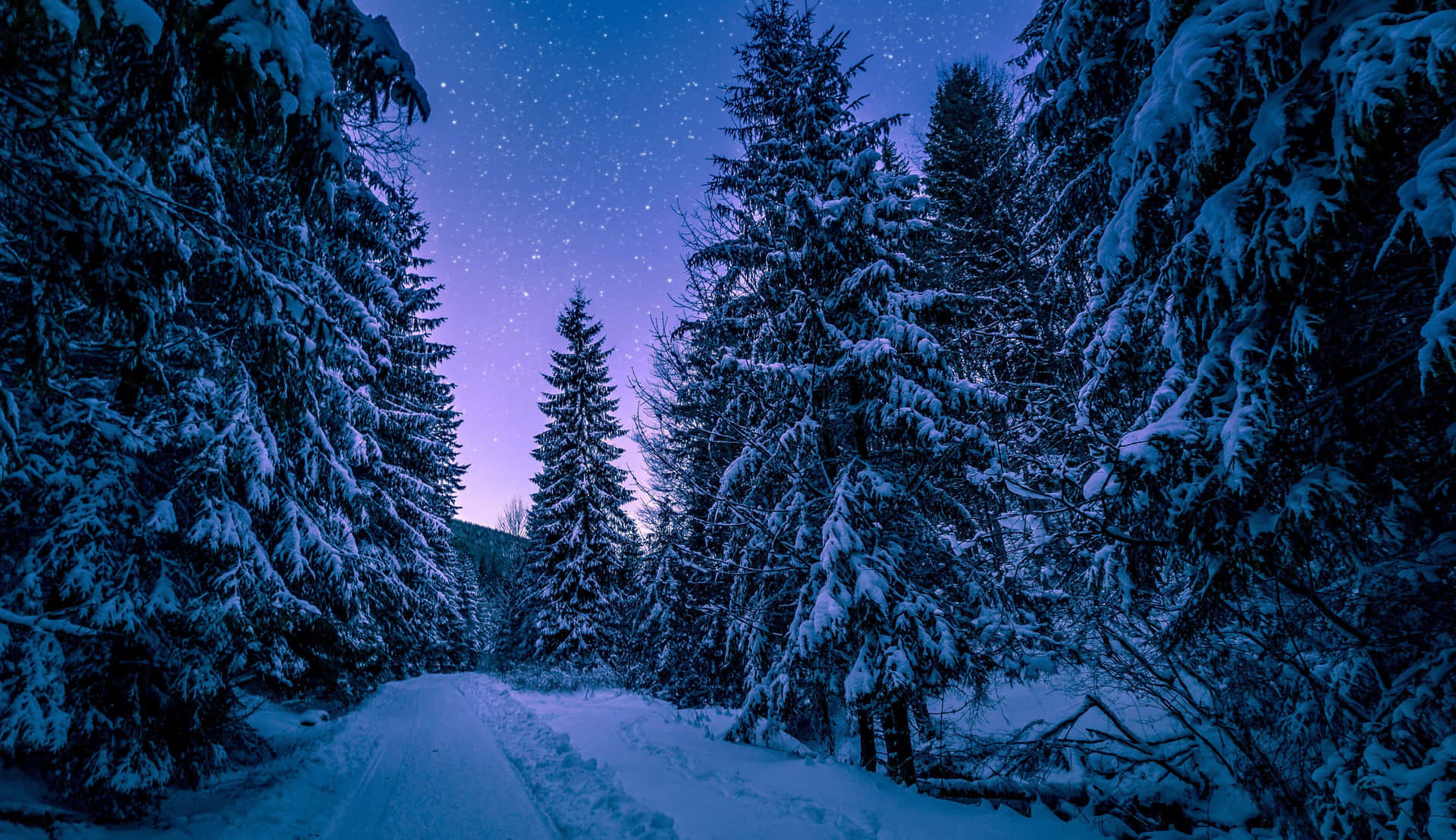 星光燦爛暮色天空下的積雪森林小徑