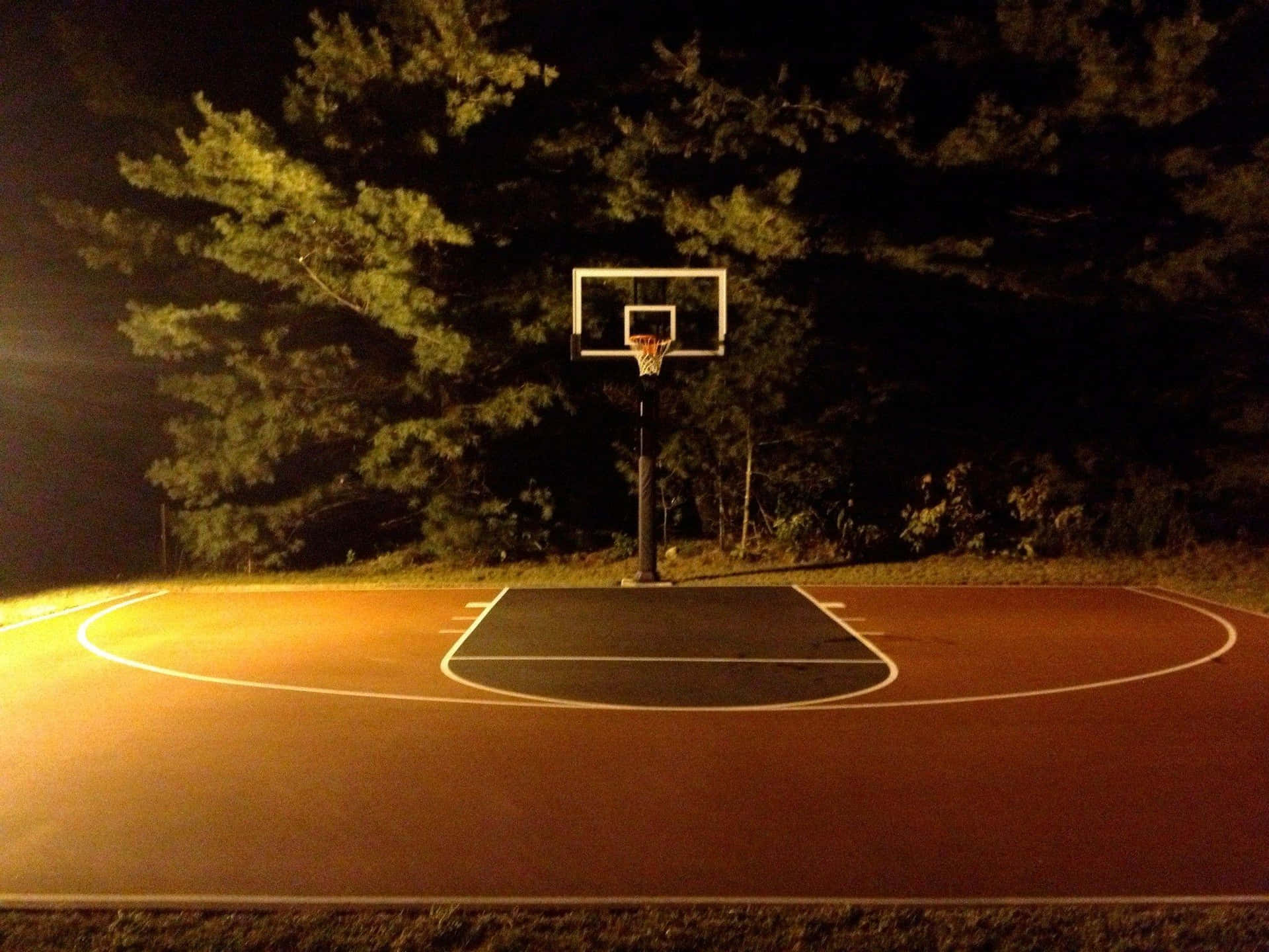 夜晚由單一燈光照亮的空籃球場，背景有樹木。