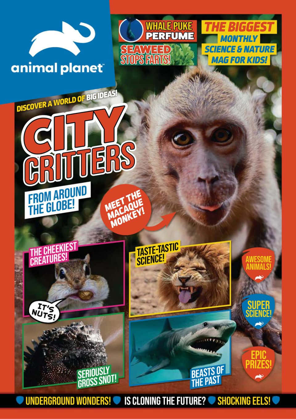 Animal Planet 雜誌封面，展示城市動物如猴子、獅子和鯊魚，並附有兒童科學知識。