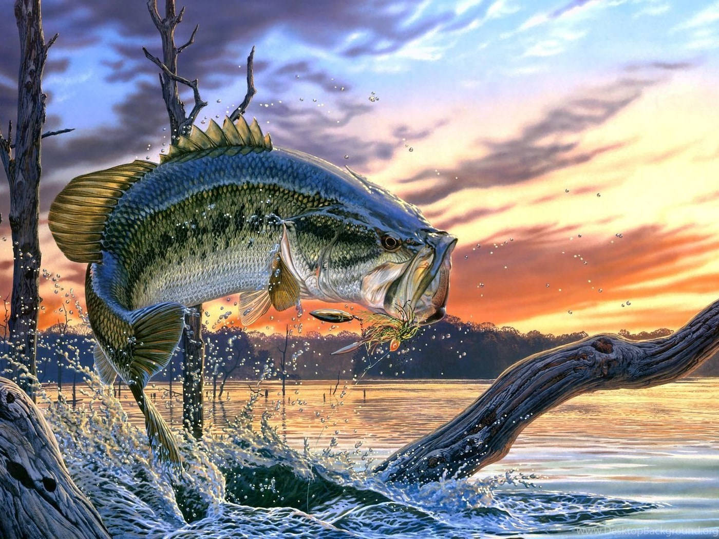 躍出水面的大冷酷魚 壁紙 — 一條巨大的鱸魚從日落時分的寧靜湖中躍起，水花四濺，周圍是光禿的樹木和火紅的天空。
