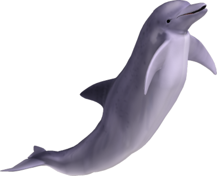 躍動海豚3D渲染 壁紙