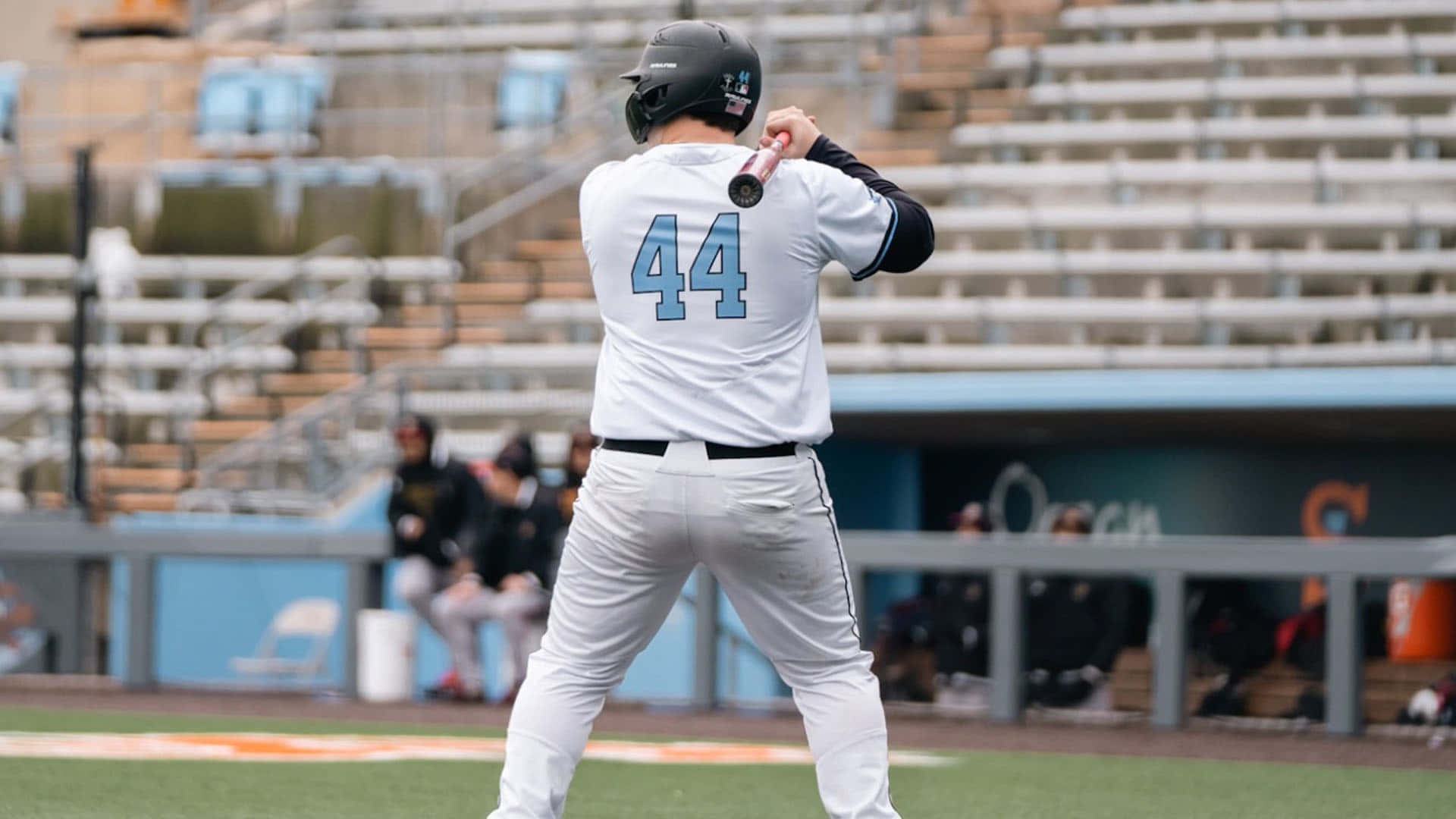 College Baseball 桌布 壁紙 — 身穿44號球衣的棒球手在陽光明媚的球場上準備擊球，身後是空無一人的看台。