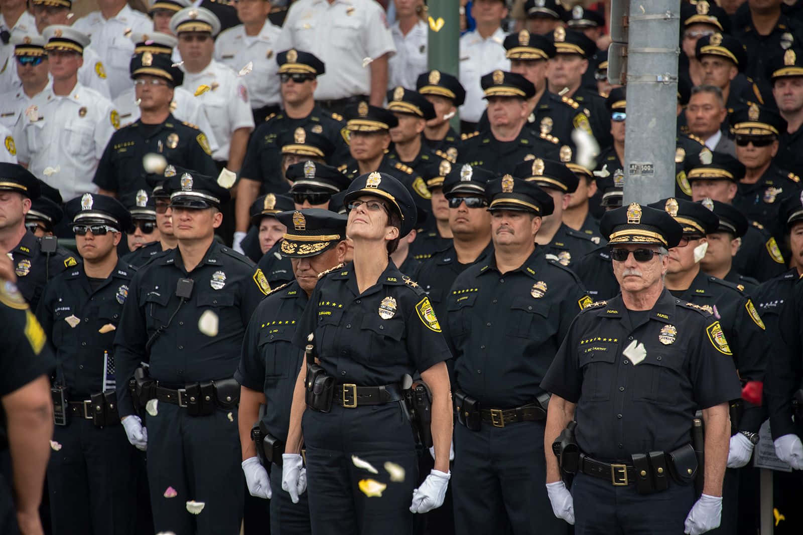 警察 桌布 壁紙 — 身穿制服的警察在日間儀式中列隊站立，周圍有五彩紙屑飄落。