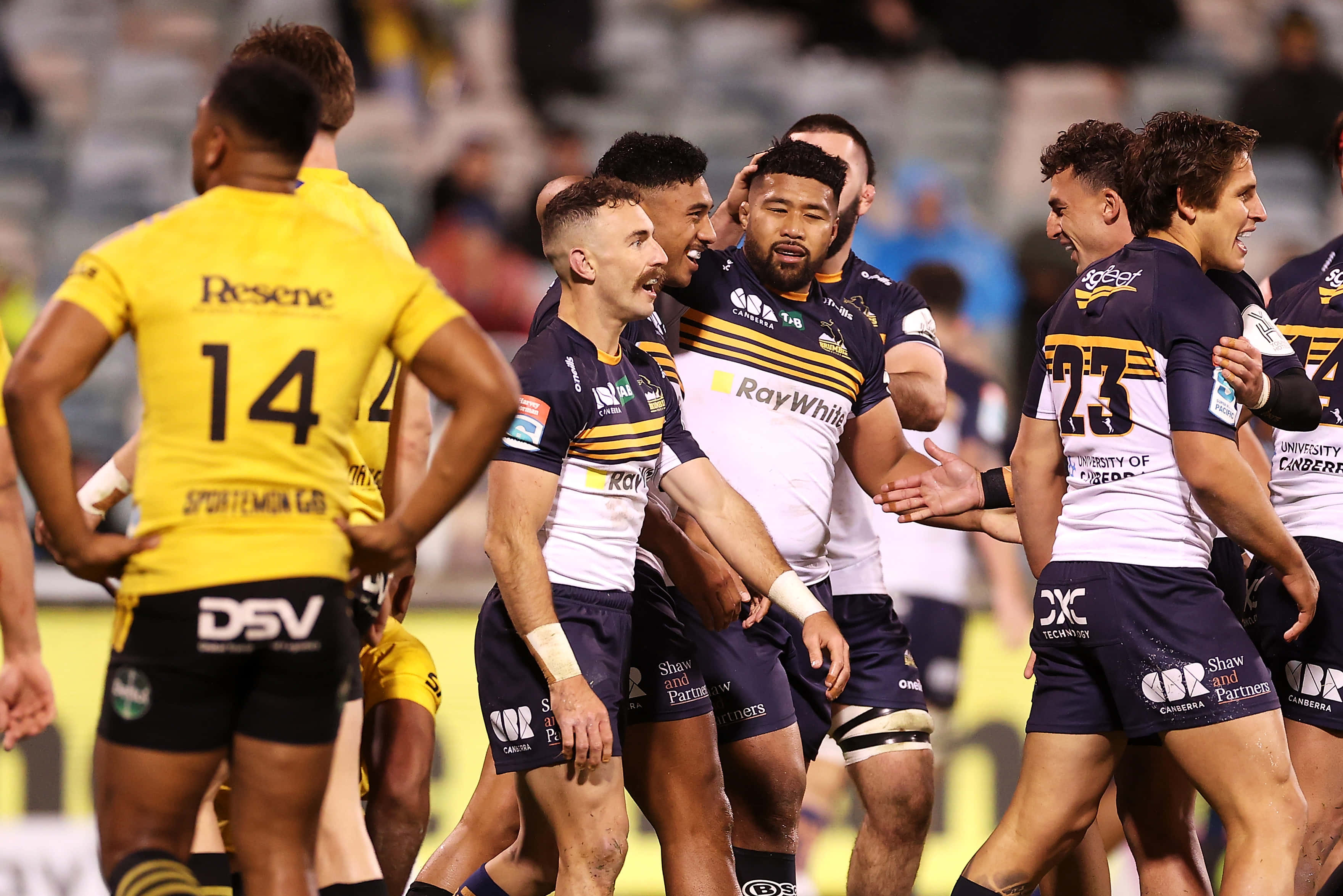 Brumbies 桌布 壁紙 — 身穿海軍藍和黃色球衣的橄欖球聯賽球員在球場燈光下慶祝一次進攻，表情激烈，身體接觸頻繁。