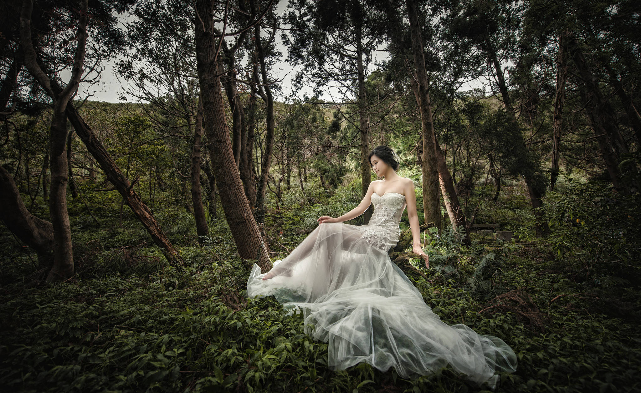 身穿象牙白婚紗的優雅新娘 壁紙 — 一位身穿飄逸白色婚紗的女性，在陰沉天空下優雅地坐在茂密的綠色森林中。