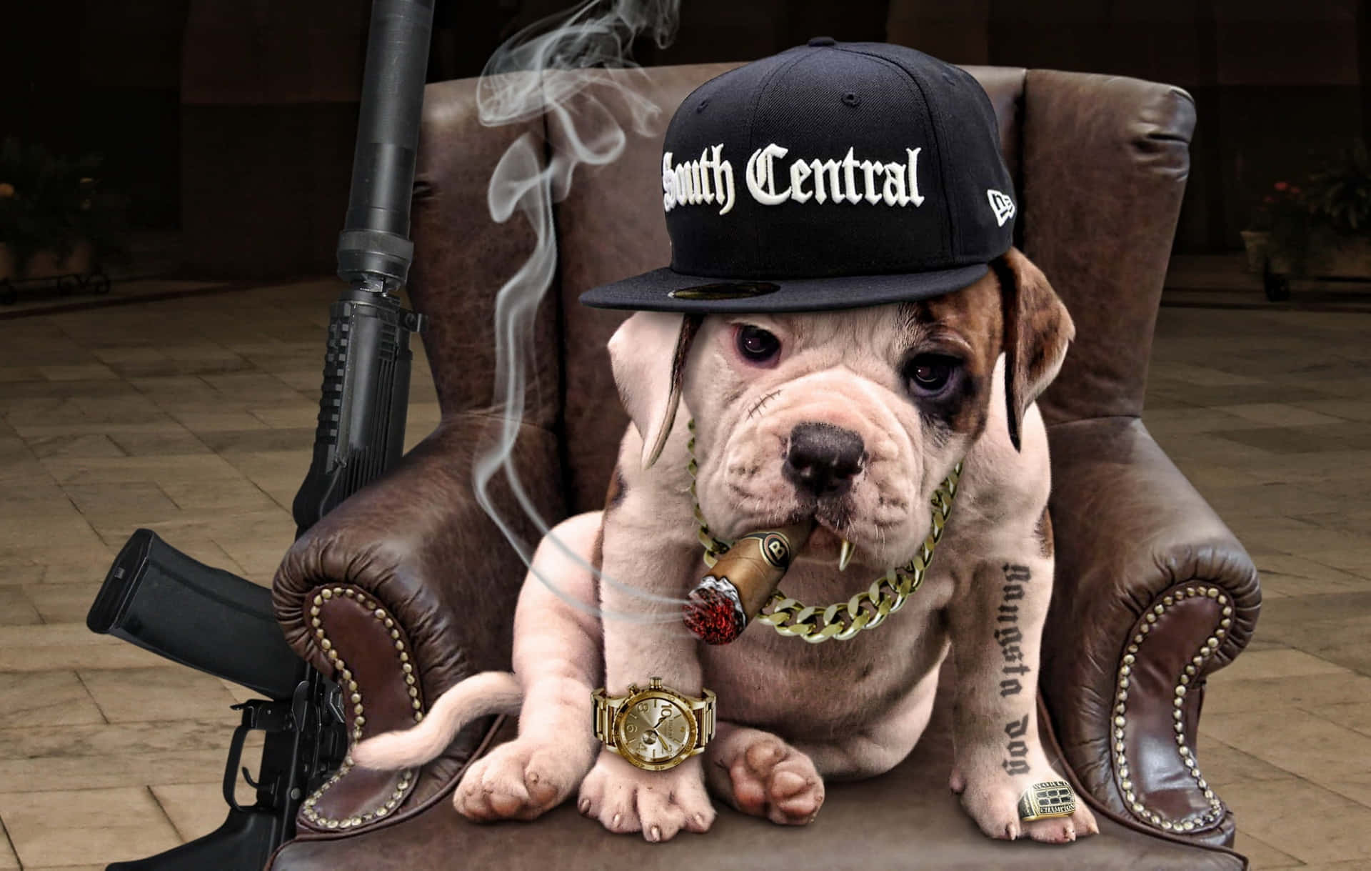 一隻戴著帽子和金鏈的鬥牛犬，在皮椅上抽著雪茄，旁邊放著一支步槍。