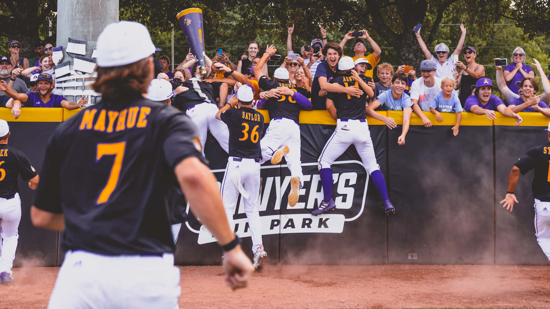 College Baseball 桌布 壁紙 — 身穿黑色和金色球衣的棒球選手在陽光明媚的日間比賽中，與球迷一起在體育館跳躍慶祝。