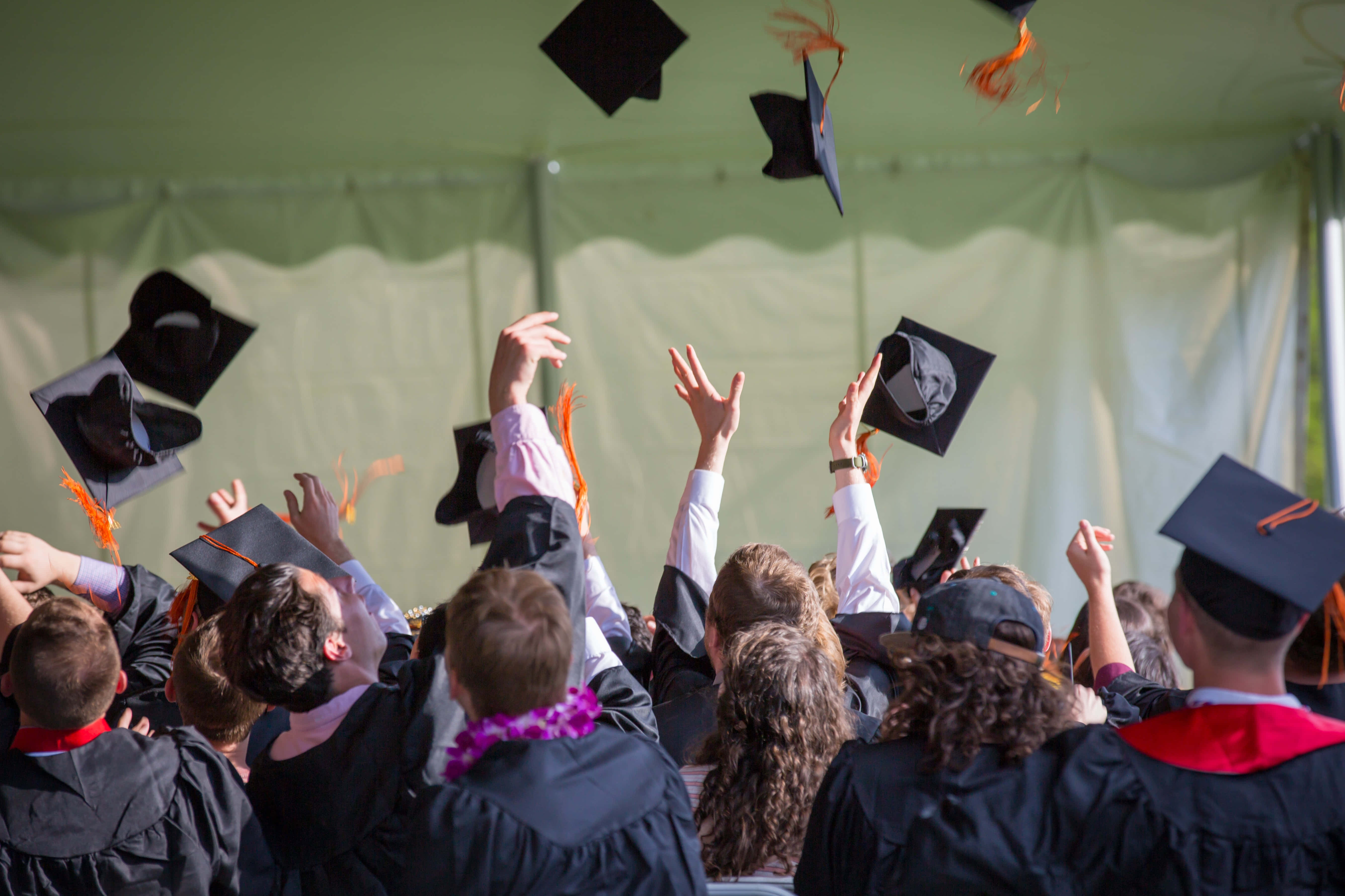 Graduation Ceremony 桌布 壁紙 — 身穿黑色畢業袍的畢業生在陽光普照的戶外典禮上，於綠色帳篷下歡快地將帽子拋向空中。