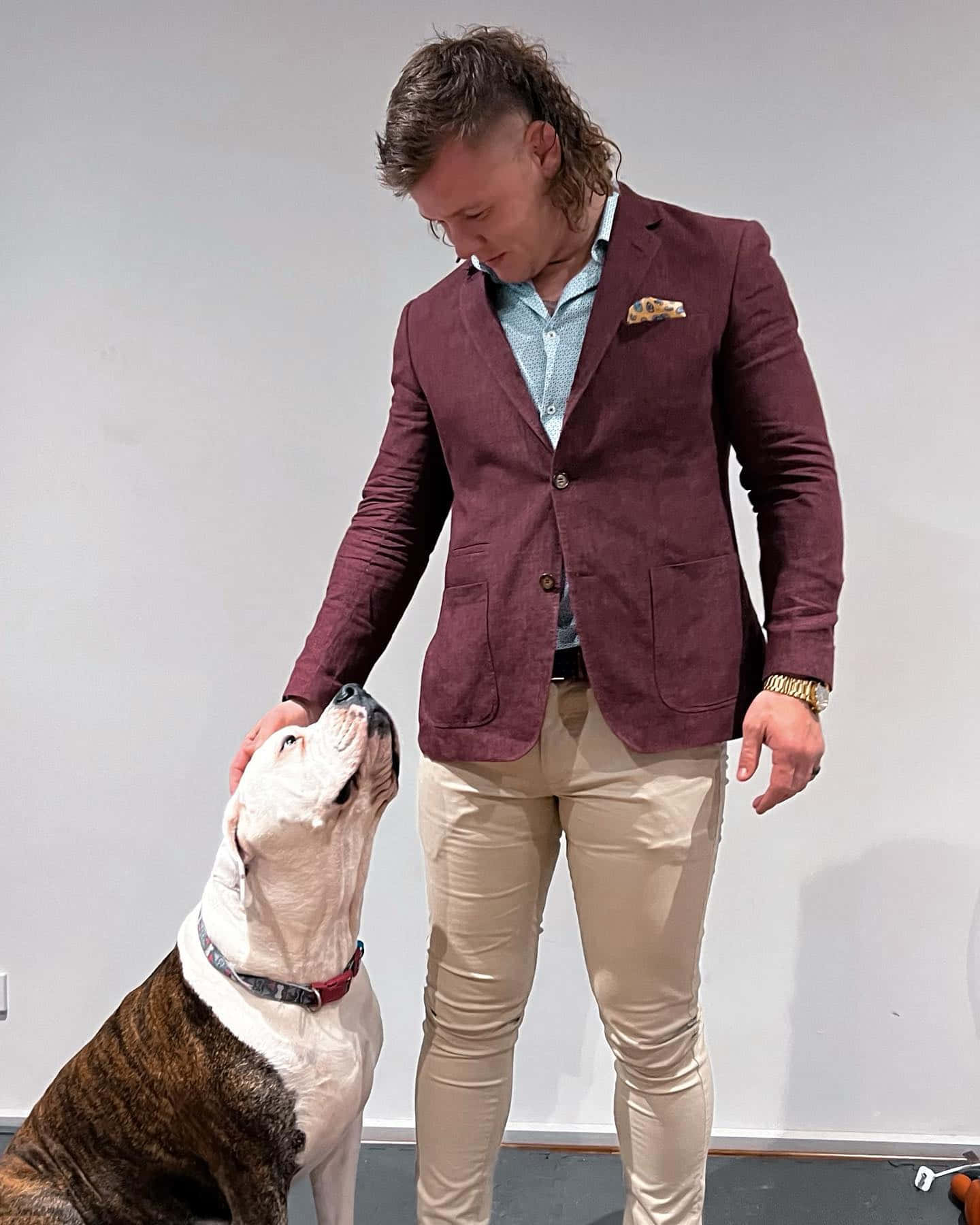 身穿棗紅色西裝外套的男子在室內輕撫一隻虎斑和白色的鬥牛犬。