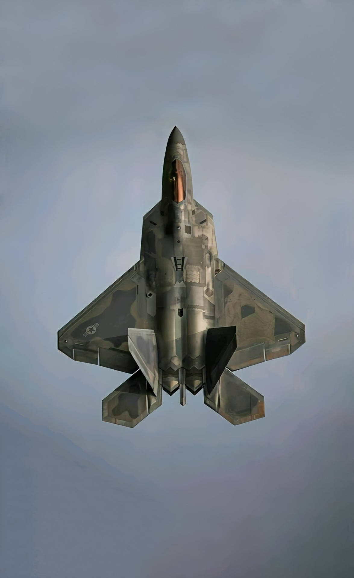 迷彩戰鬥機在灰色天空中飛過。