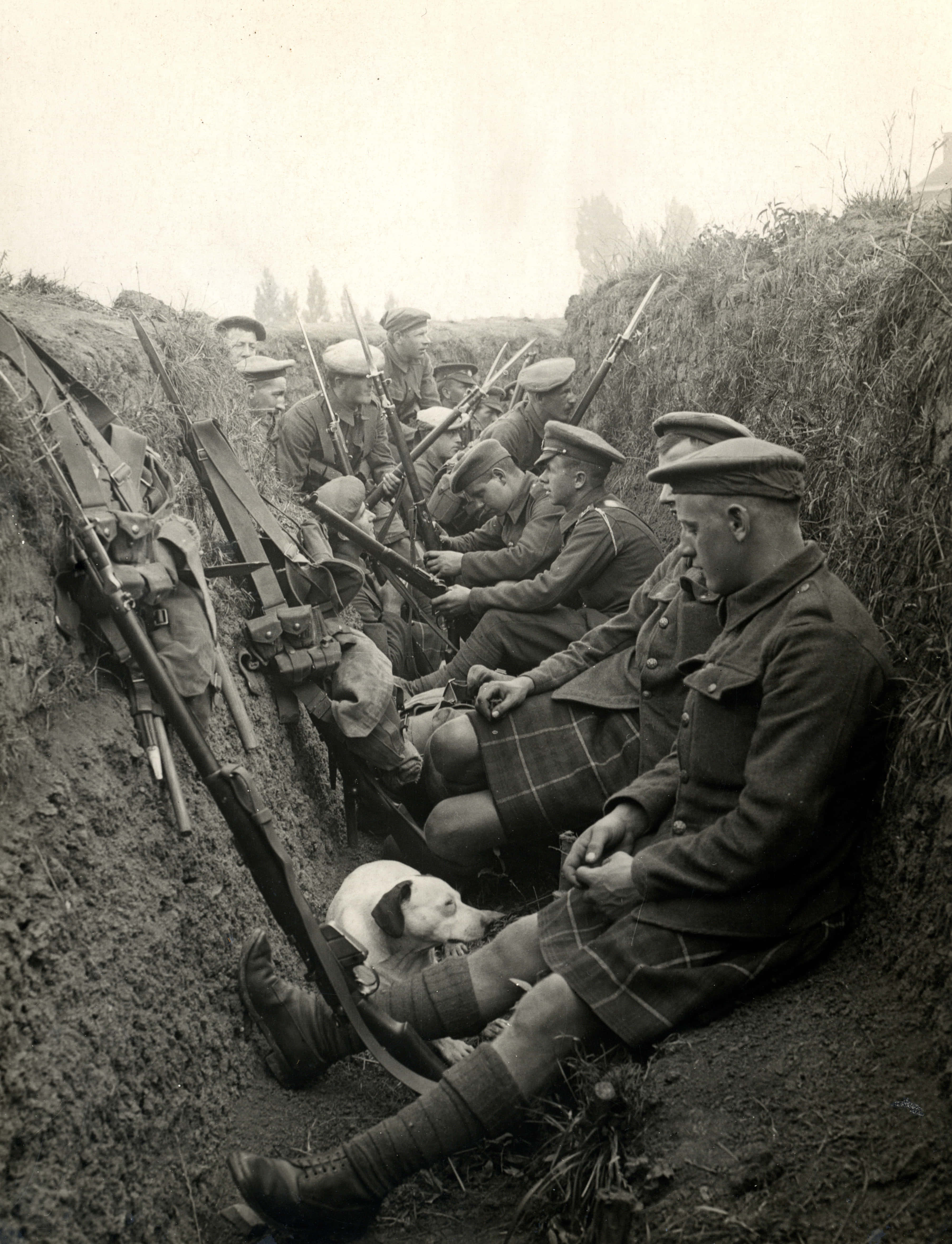 軍隊團結為勝利而戰 壁紙 — 穿著蘇格蘭裙的士兵疲憊地坐在泥濘的戰壕中，手持步槍，一隻狗在他們腳邊休息。