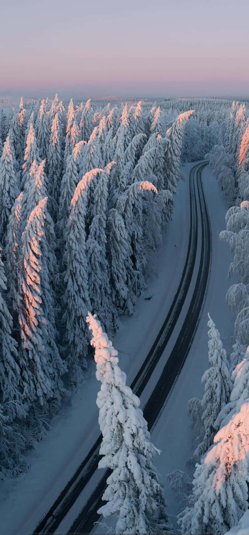 暮光中的雪林與蜿蜒道路