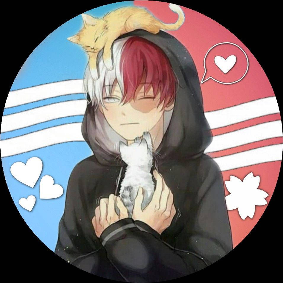 轟炸機 Todoroki 可愛傷感表情 壁紙 — 動漫男孩，半紅半白頭髮，身穿黑色連帽衫，抱著白色小貓，橙色貓咪在他頭上睡覺，背景為條紋和心形。