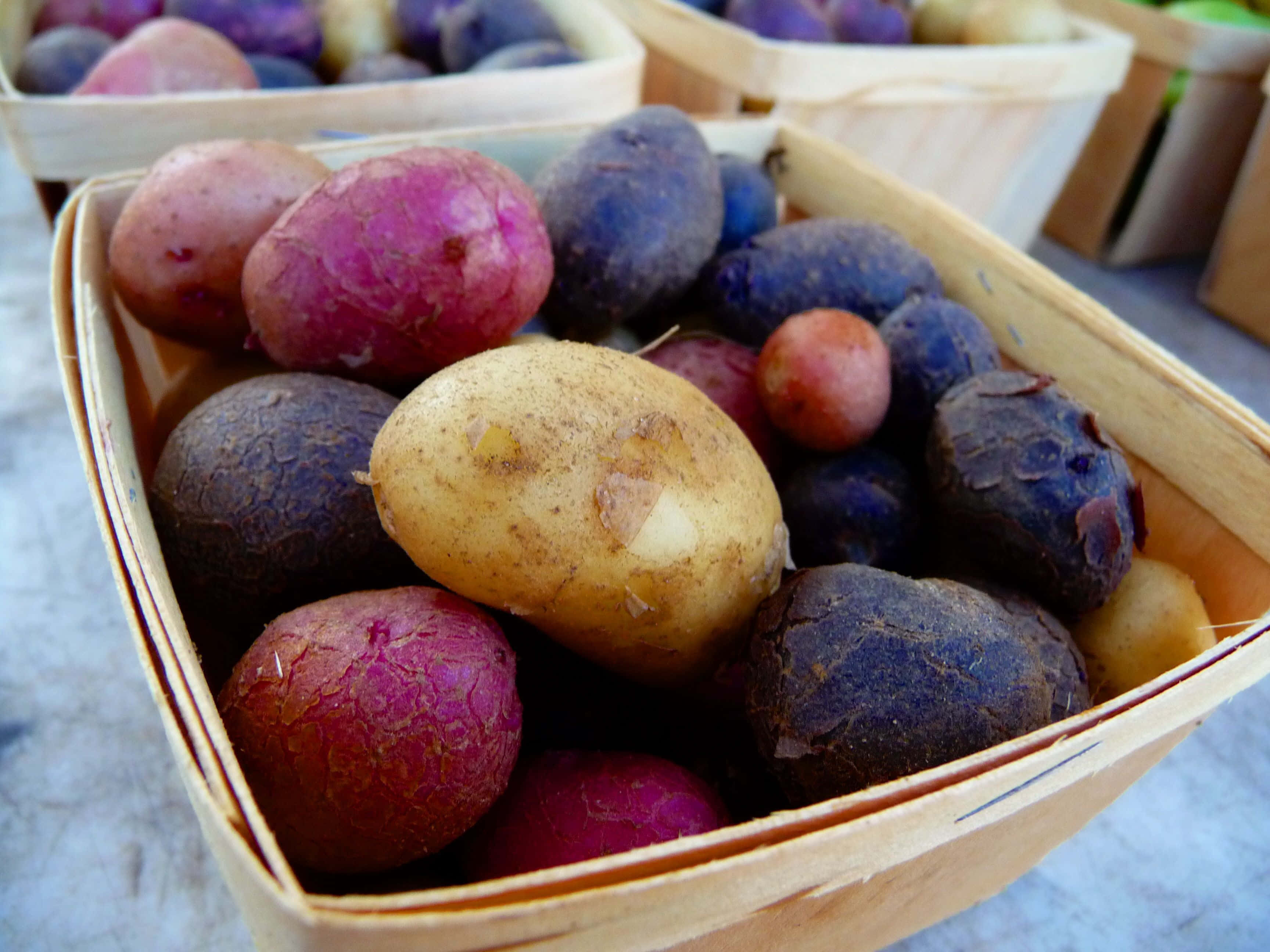 Purple Potato 桌布 壁紙 — 農夫市場攤位上木籃中色彩繽紛的傳家寶馬鈴薯特寫。