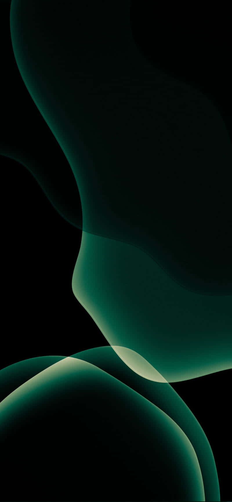 迎接 iPhone 11 Pro 黑色版——下一代智慧手機 壁紙 — 優雅流動的翠綠色抽象形態在深黑色背景上柔和發光。