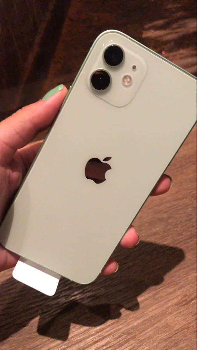 迎接 iPhone 12 的下一代革命 壁紙 — 一隻手喺木質表面上拎住一部淺綠色嘅iPhone 12 mini，配備雙鏡頭。