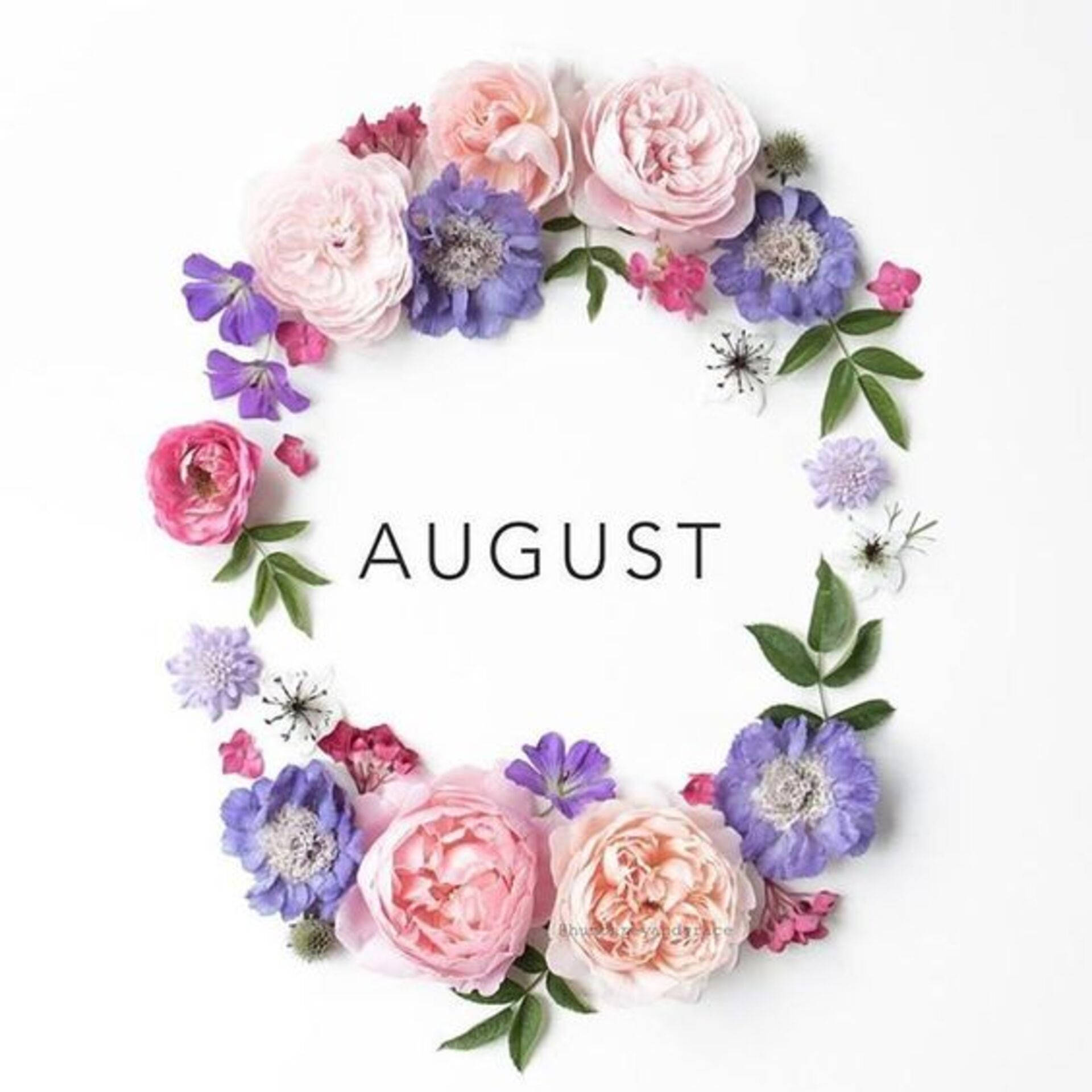 粉紅色和紫色花朵圍繞August一詞的花環。