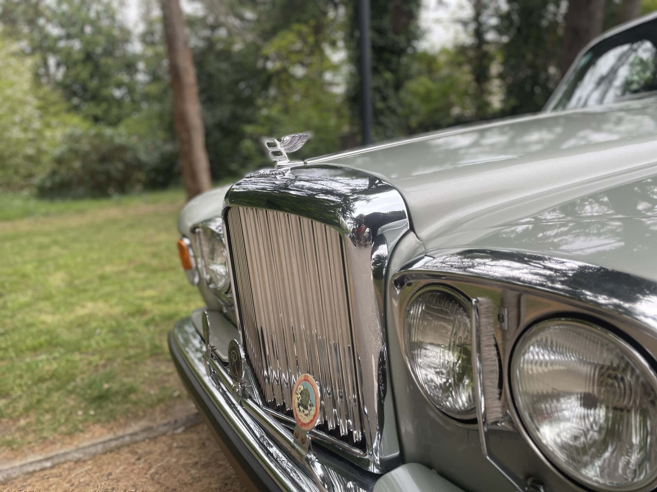 Bentley T2 桌布 壁紙 — 近距離拍攝一輛復古銀色賓利，帶有鍍鉻格柵和引擎蓋飾物，停泊在樹旁的草地上。