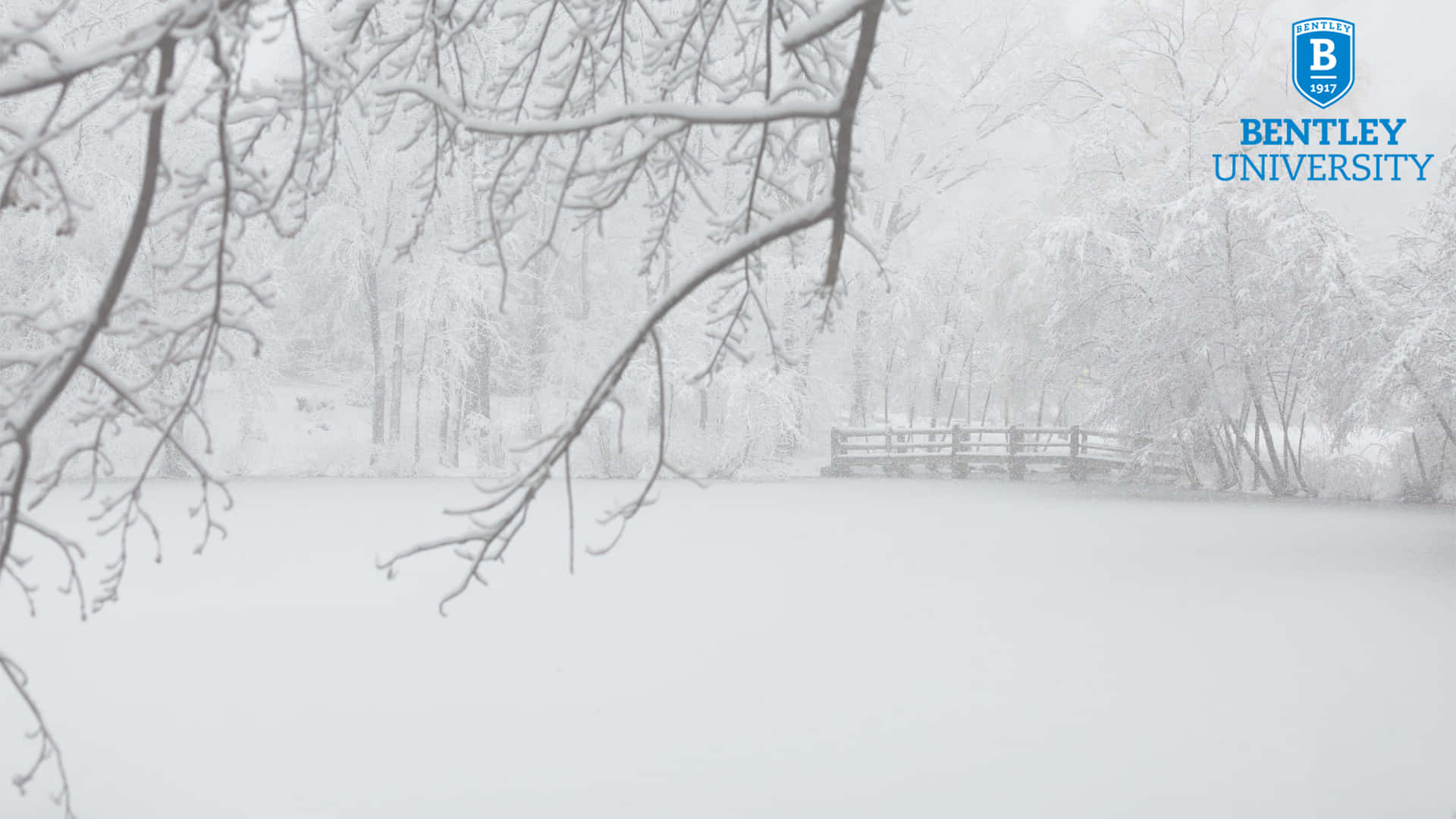近距離拍攝雪片降落地面的冬日景緻 壁紙 — 白雪覆蓋著結冰的湖面，光禿的樹枝框住遠處的木橋，構成朦朧的冬日景象。