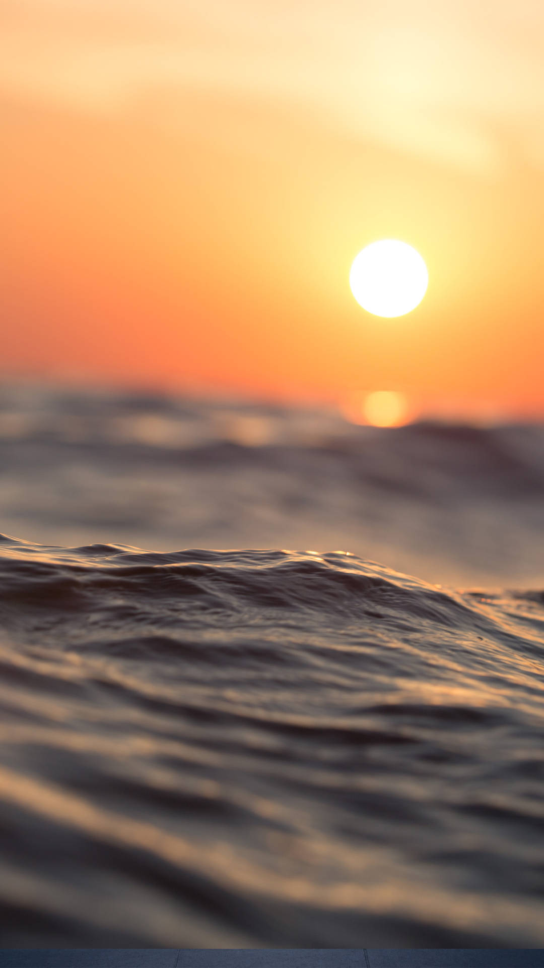 夕陽映照海洋，金色光芒反射在漣漪水波上。
