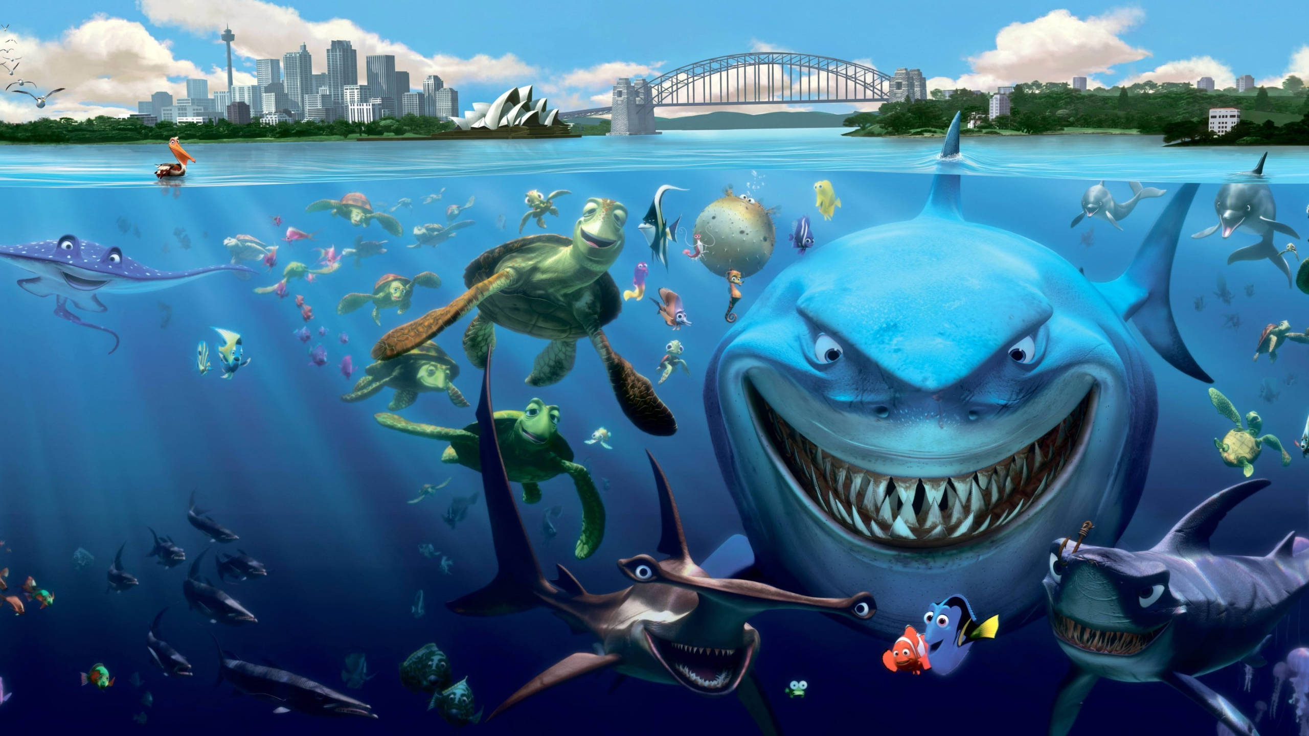 迪士尼《海底總動員》角色群 2560x1440 壁紙 — 水下卡通鯊魚和海龜在悉尼天際線附近游泳，歌劇院和橋樑在水面上可見。