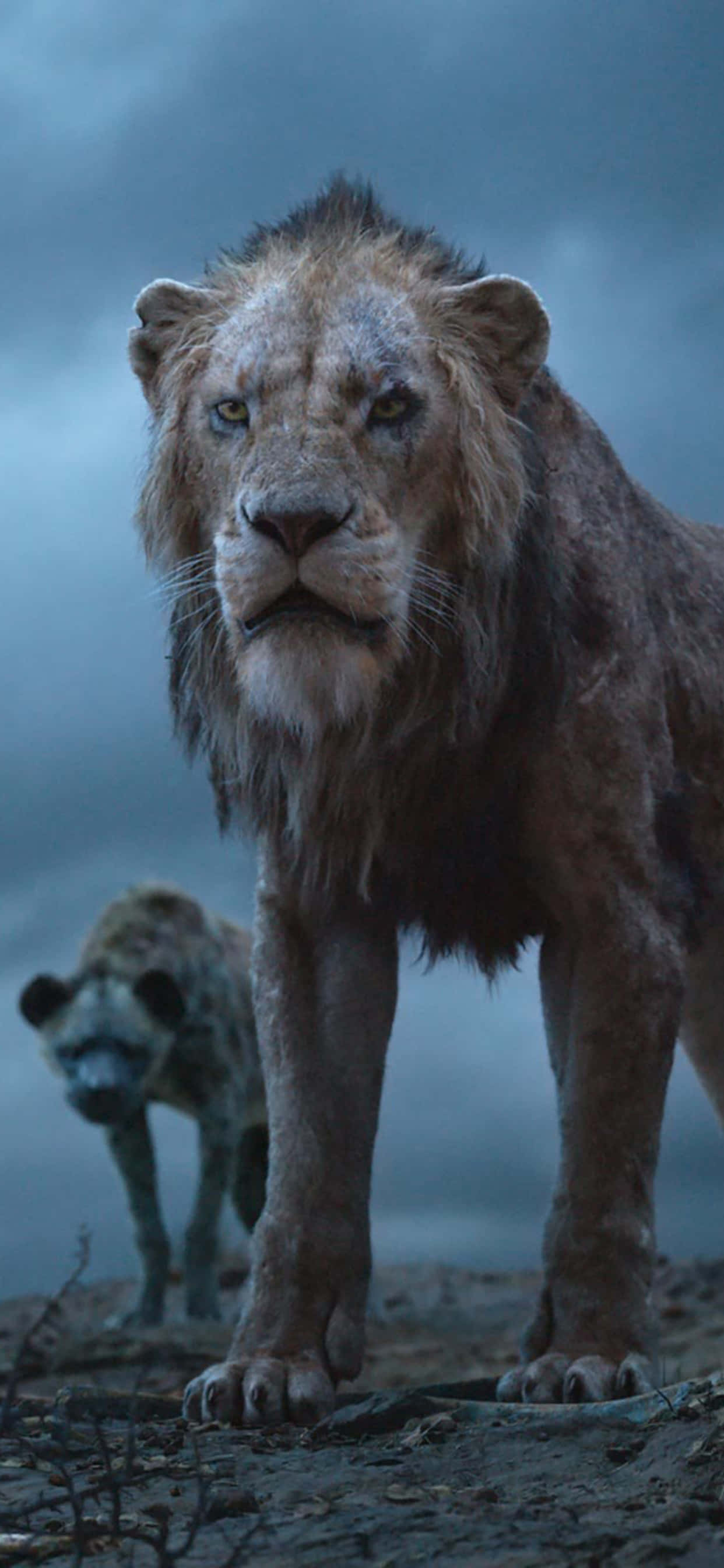 迪士尼《獅子王》反派角色「刀疤」 壁紙 — 一頭雄偉的獅子，鬃毛歷經風霜，在霧氣瀰漫的稀樹草原上佔據主導地位，身後有一隻鬣狗潛伏著。