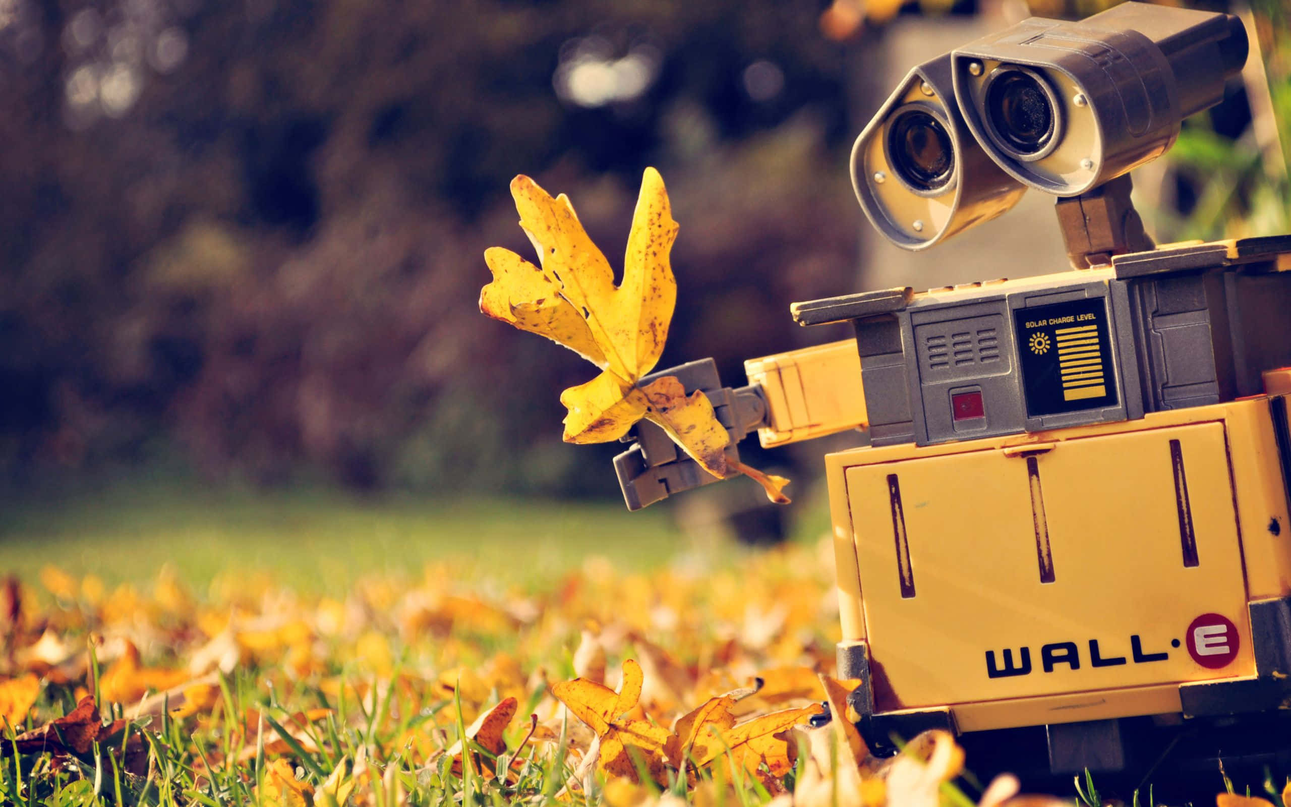 迪士尼秋日 Wall-E 壁紙 — WALL·E 喺陽光明媚嘅秋天田野中，手持一片黃葉，周圍係落葉。