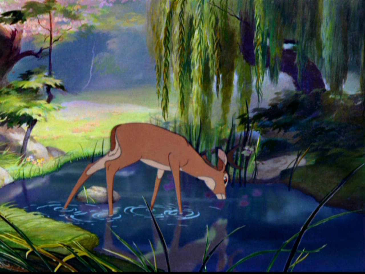 迪士尼經典電影中的受愛戴小鹿巴布 壁紙 — 一隻優雅的鹿在寧靜的池塘邊喝水，周圍環繞著茂密的綠色柳樹和斑駁的森林光線。