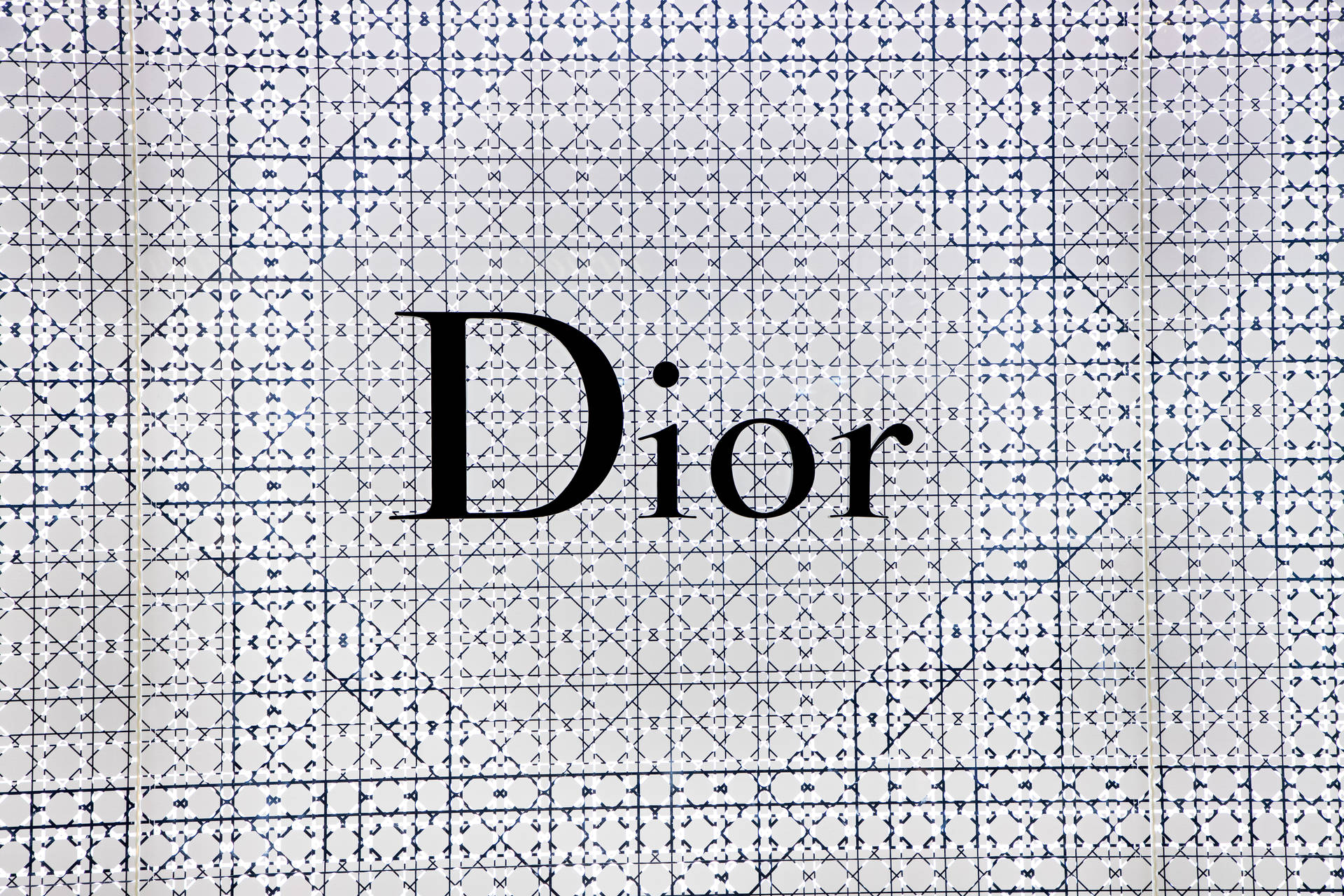 Dior 標誌在藍色幾何網格背景上。
