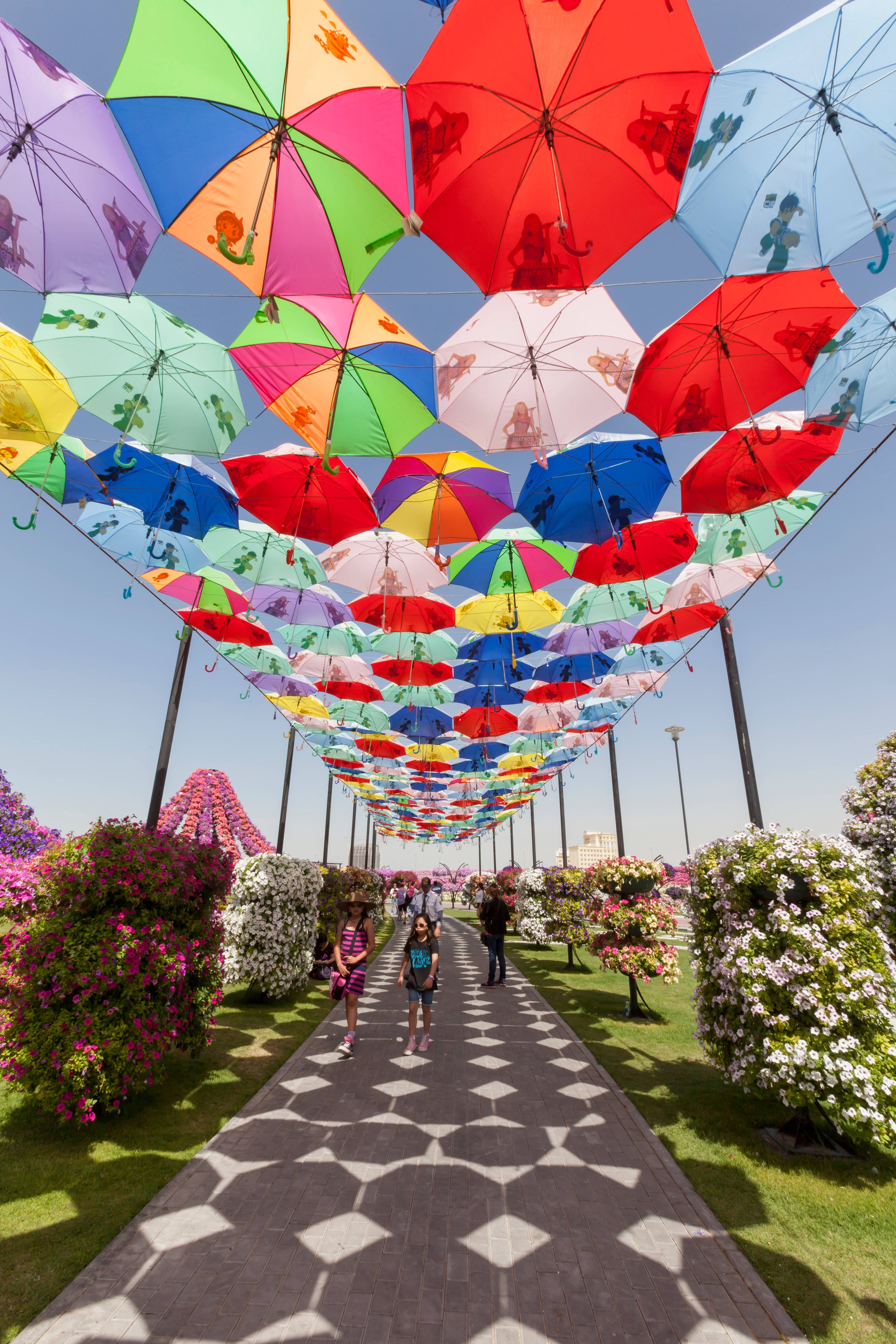迪拜奇跡花園迷人一瞥 壁紙 — 色彩繽紛、圖案各異的雨傘形成一個充滿活力的天篷，拱形覆蓋在一條鋪砌的小徑上，小徑兩旁開滿了鮮花灌木，上方是清澈的藍天。