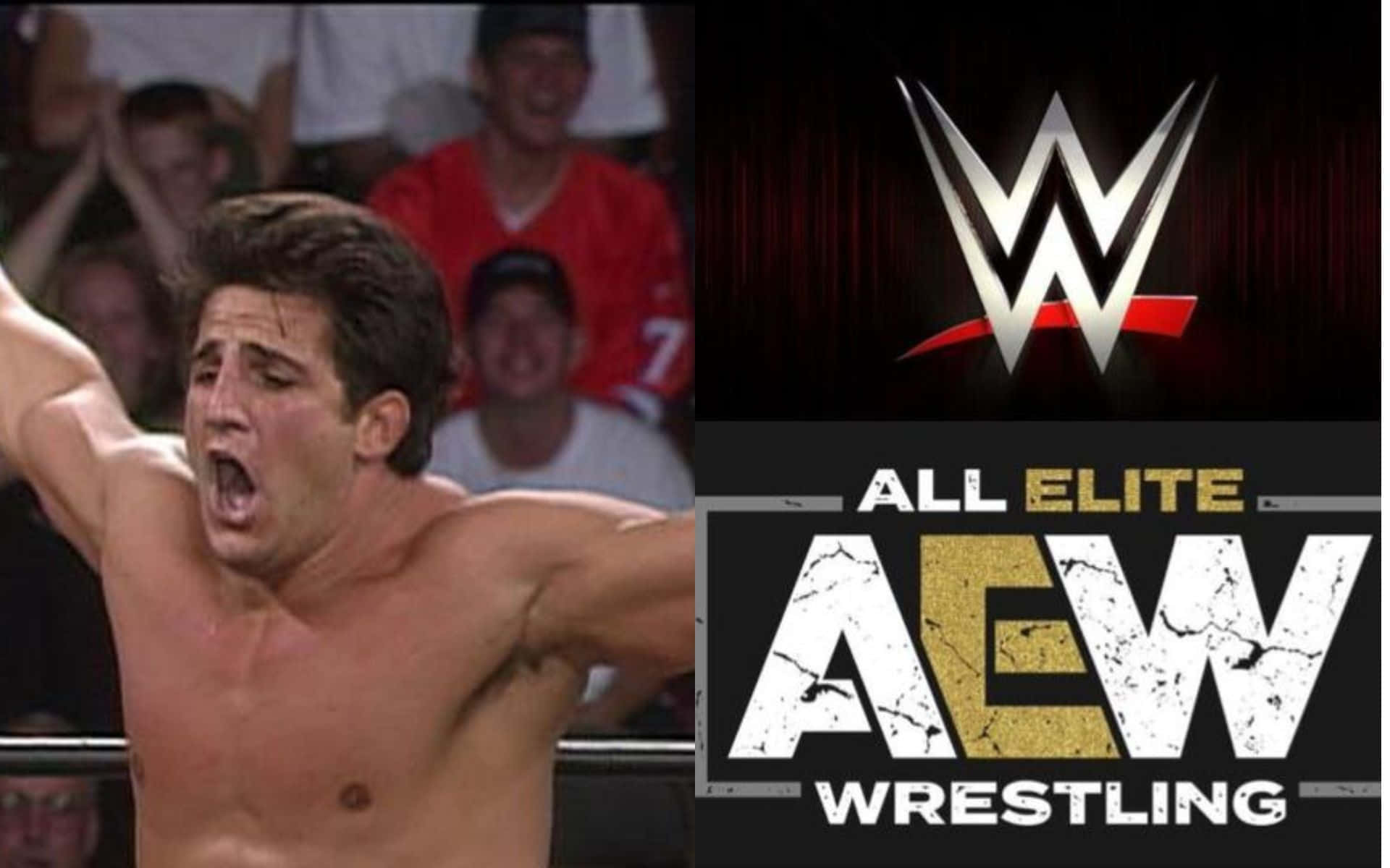 摔角手慶祝勝利，展示 WWE 和 AEW 標誌。