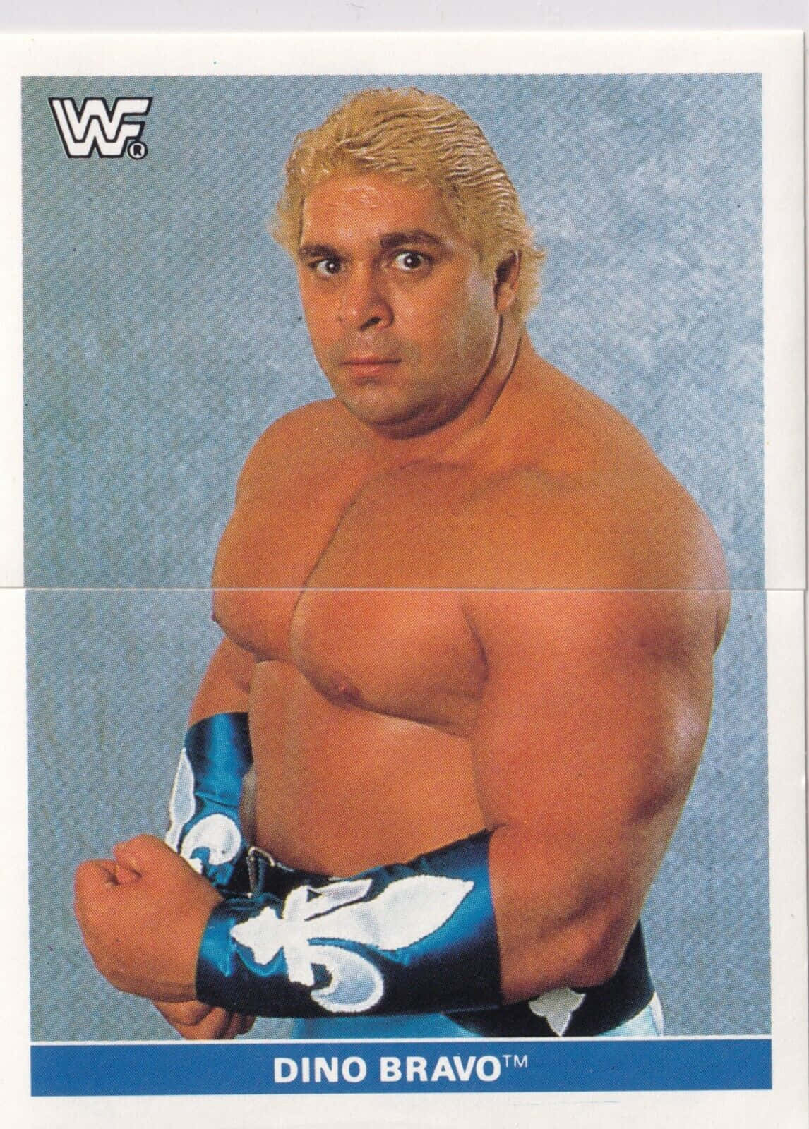 摔角手 Dino Bravo 戴著藍白護腕，在攝影棚中赤裸上身擺姿勢。