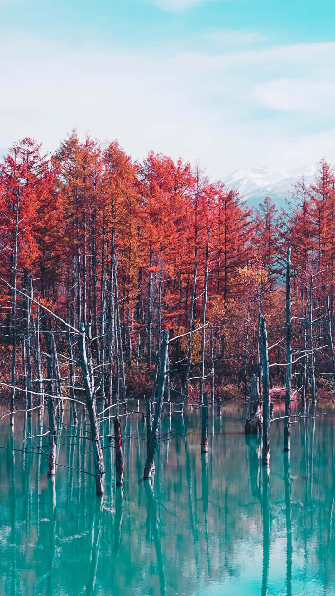 紅色樹木倒映在藍綠色水中，背景有雪山。