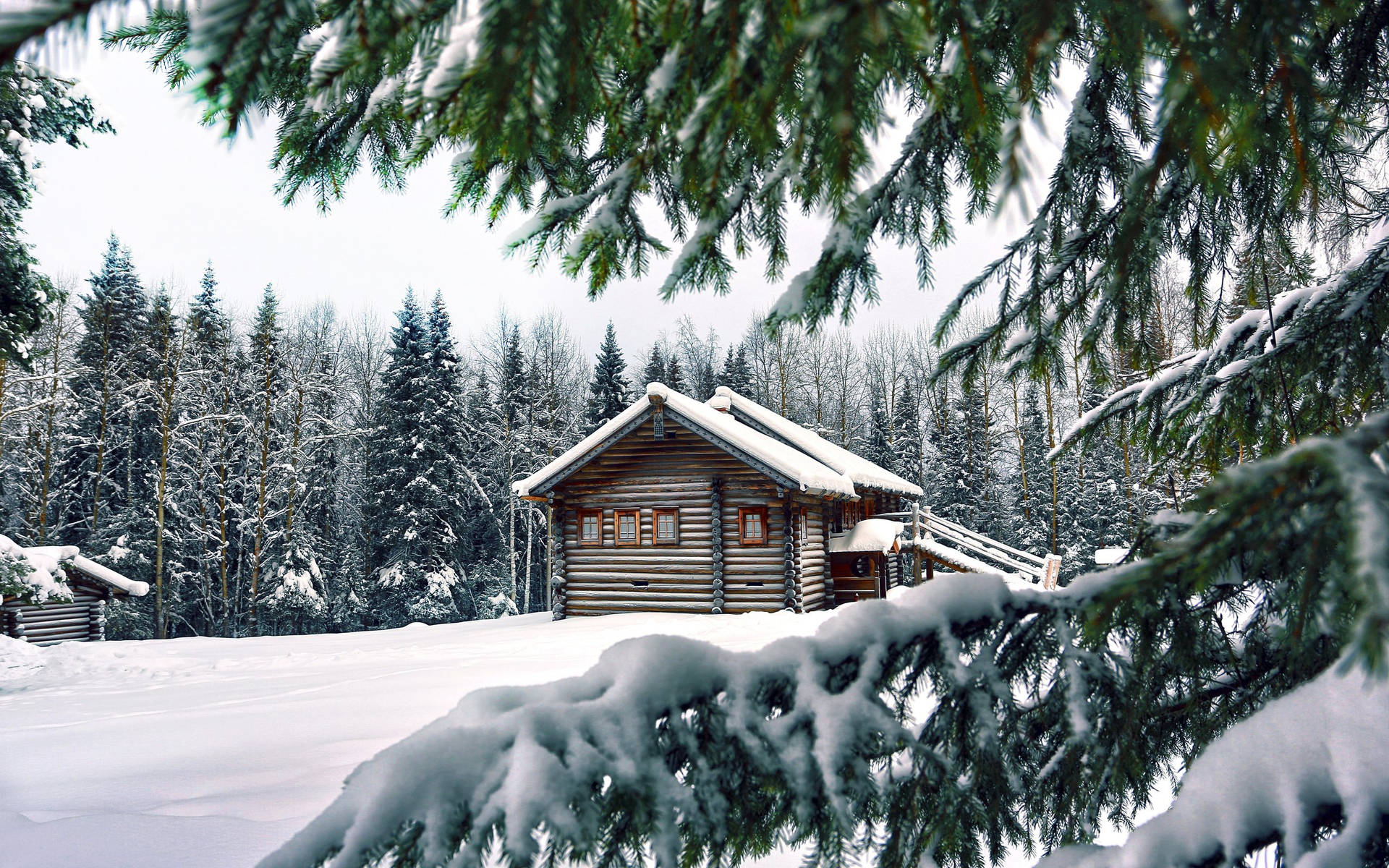 冬季森林中被雪覆蓋的小屋和常青樹