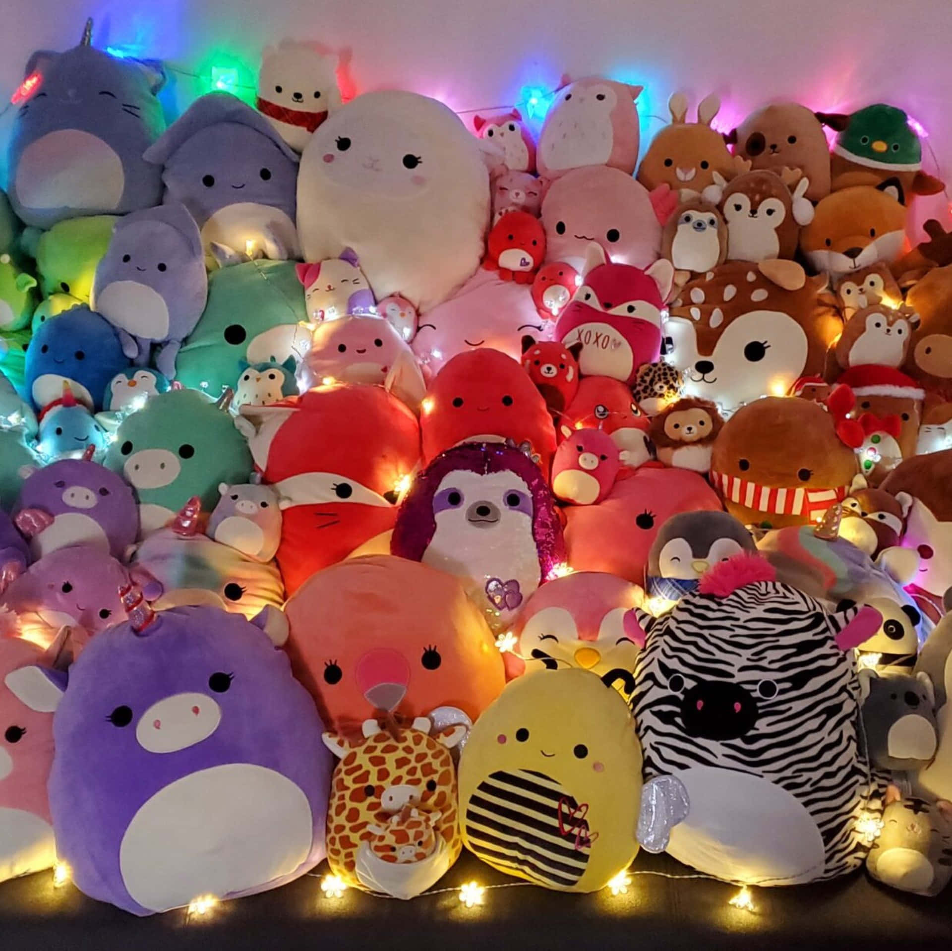 迷人多彩的Squishmallow角色集合 壁紙 — 一個舒適的牆壁，上面掛滿了色彩繽紛的毛絨玩具，由溫暖的仙女燈和彩虹串燈照亮。