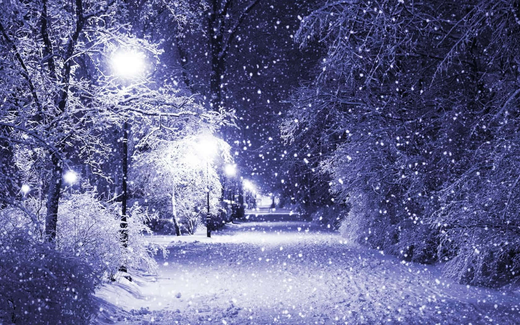 夜間被街燈照亮的積雪公園小徑。