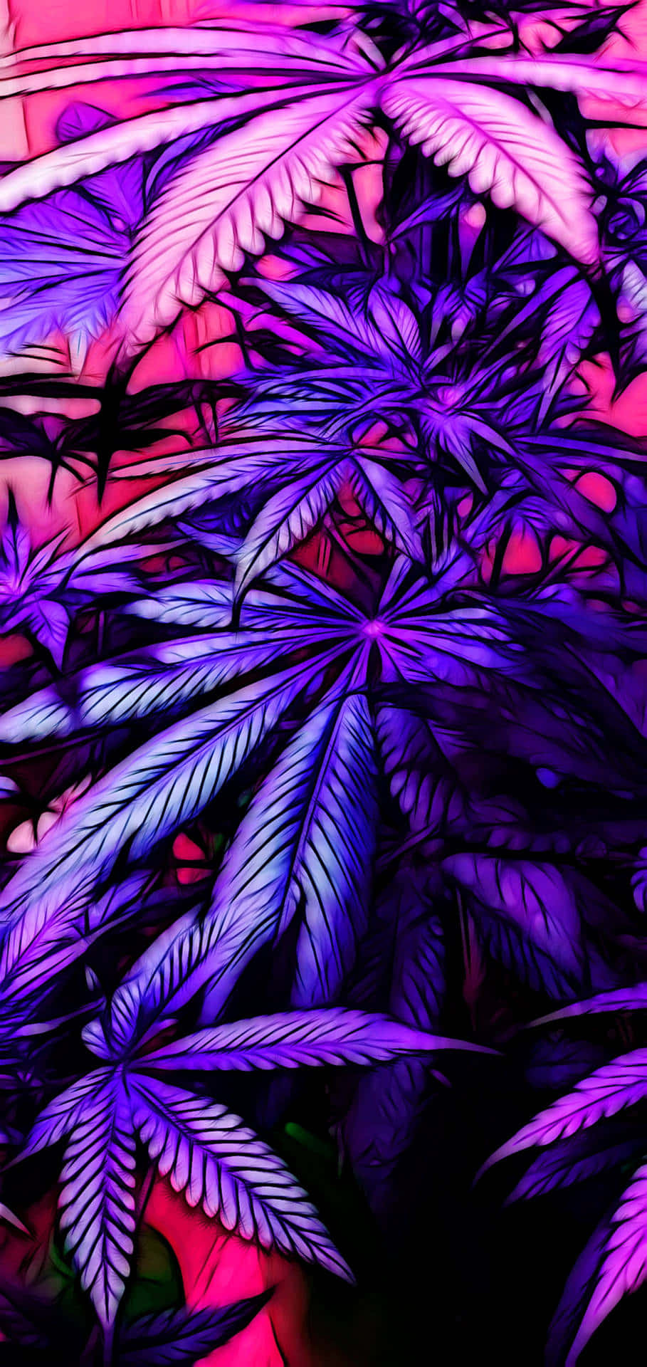迷人寧靜的紫羅蘭色調 壁紙 — 充滿活力的霓虹紫色和粉紅色大麻葉在黑暗背景上發光，呈現出風格化的數位藝術作品。