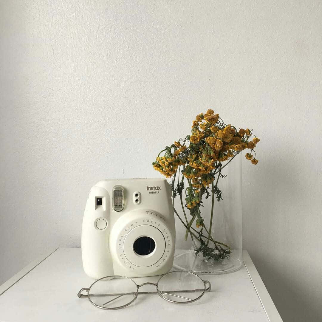 白色即影即有相機、玻璃花瓶中的乾燥黃色花朵、白色層架上的圓形眼鏡。