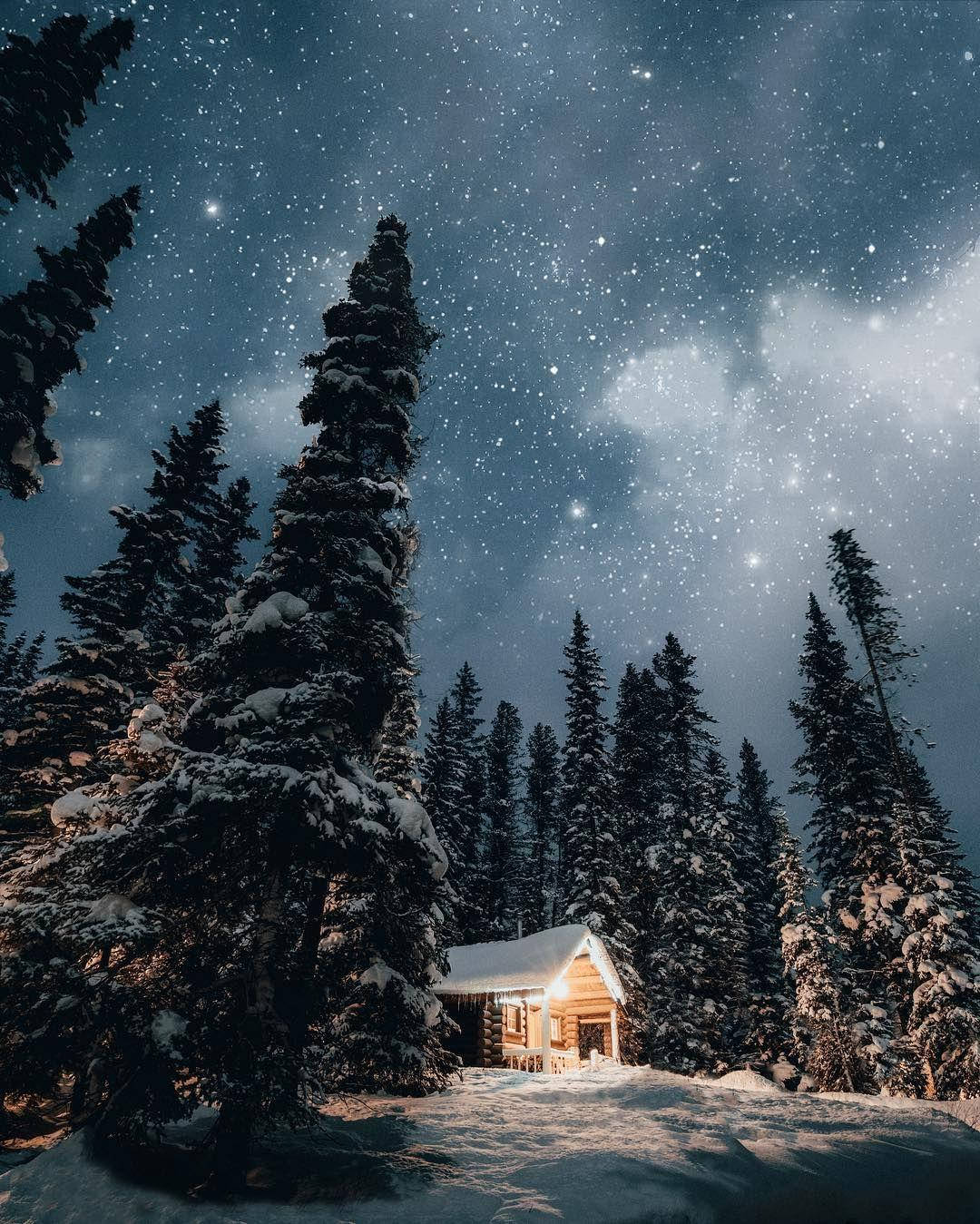 被松樹環繞的星空冬夜下，溫暖發光的雪覆蓋小屋。
