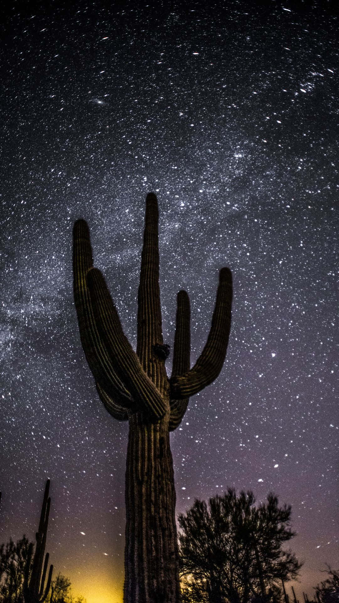 薩瓜羅仙人掌在星空沙漠夜空下，銀河可見。