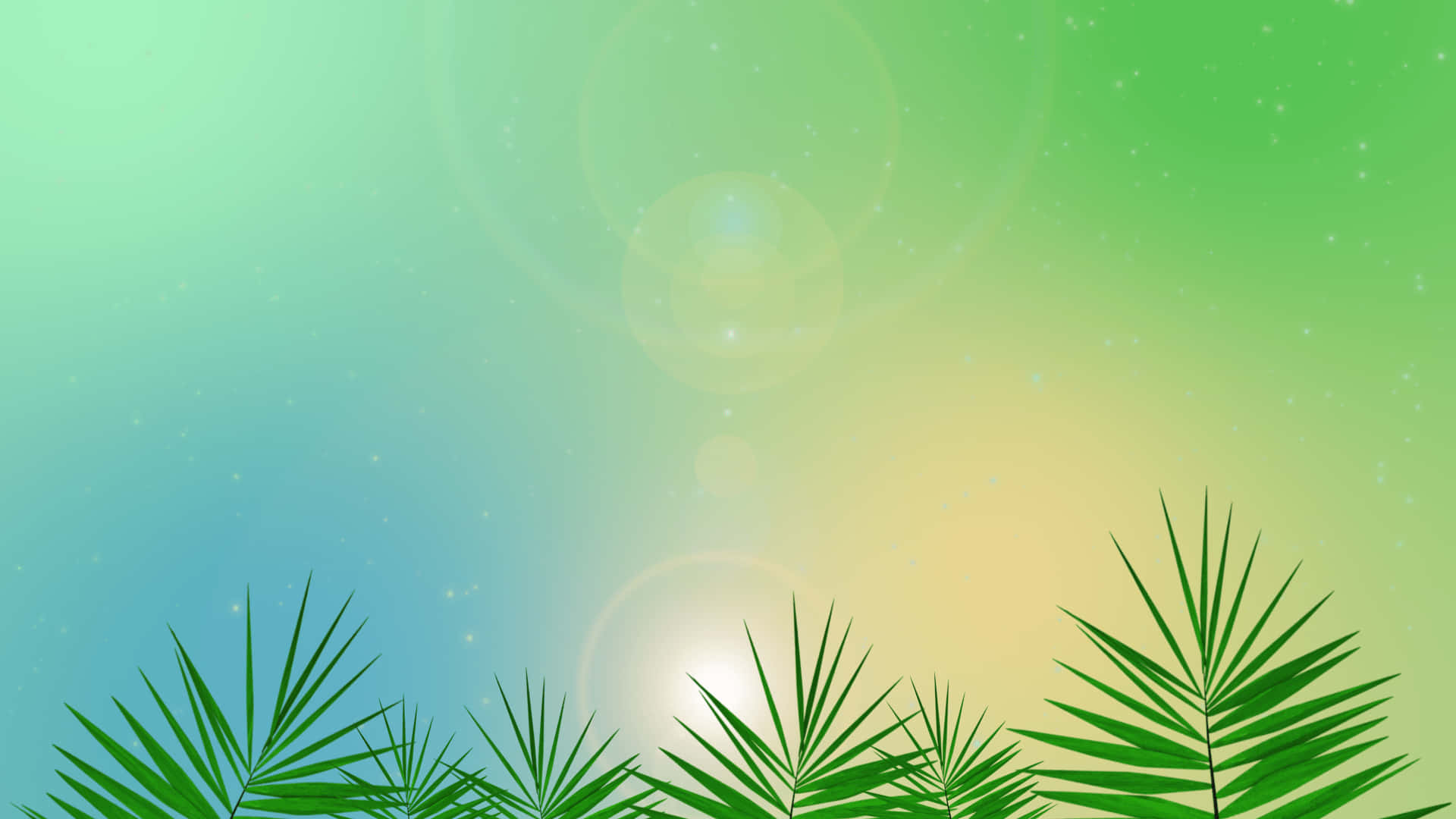迷人棕櫚圖像棕櫚主日背景 壁紙 — 熱帶日出時，在剪影棕櫚葉上方帶有鏡頭光暈的鮮豔漸變天空。