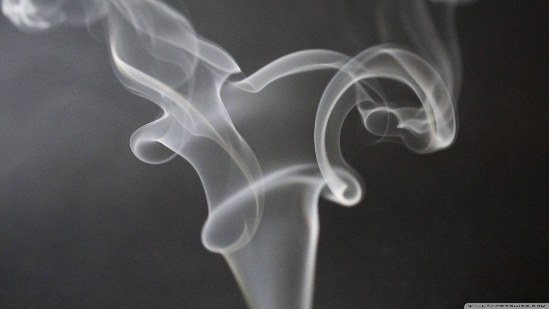 異想天開的煙霧漩渦在黑暗背景下向上飄升。