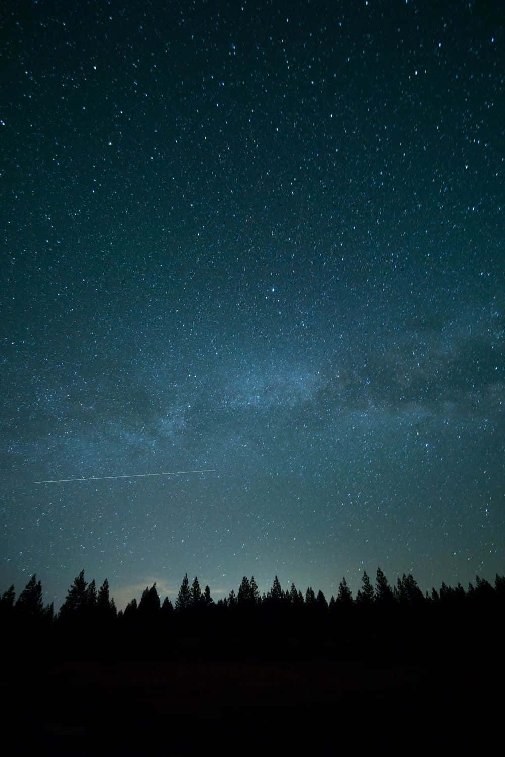 迷人的寒夜星空 壁紙 — 繁星點點的夜空，銀河在黑暗的松林剪影上方拱起。