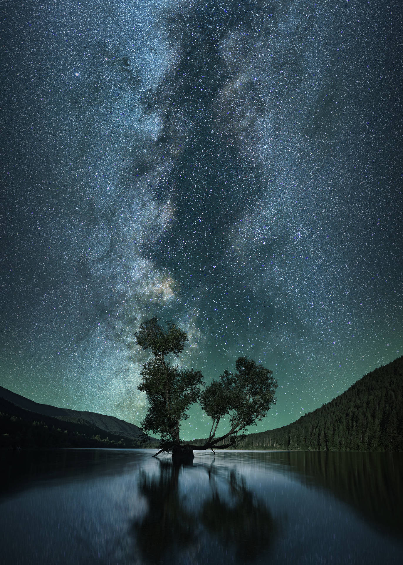 一棵孤樹倒映在水中，下方是滿天星斗的夜空，銀河可見。