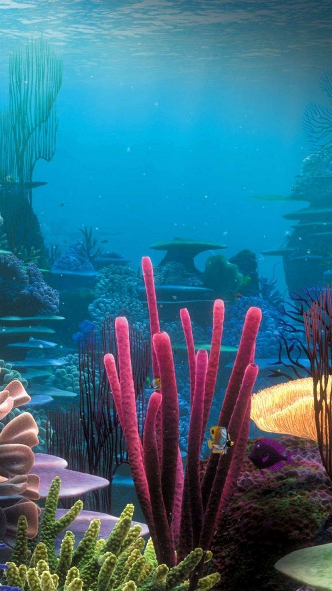 色彩繽紛的珊瑚礁，魚兒在藍色海水下游動