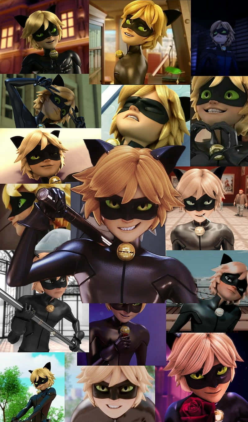 Cat Noir 身穿黑色超級英雄服裝，綠色眼睛，展現各種姿勢和表情。
